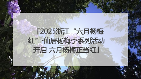 2025浙江“六月杨梅红”·仙居杨梅季系列活动开启 六月杨梅正当红