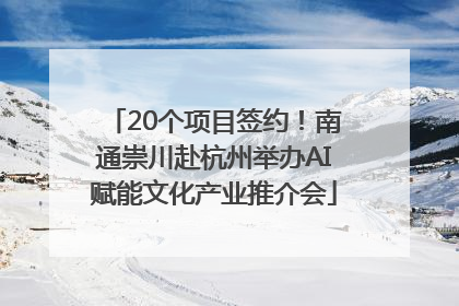20个项目签约！南通崇川赴杭州举办AI赋能文化产业推介会