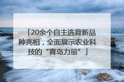 20余个自主选育新品种亮相，全面展示农业科技的“青岛力量”