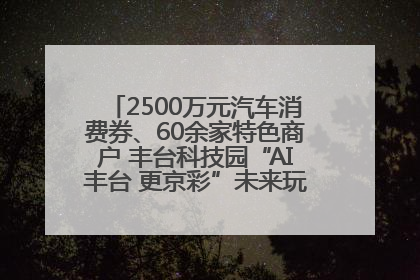 2500万元汽车消费券、60余家特色商户 丰台科技园“AI丰台 更京彩”未来玩家市集活动正式开幕