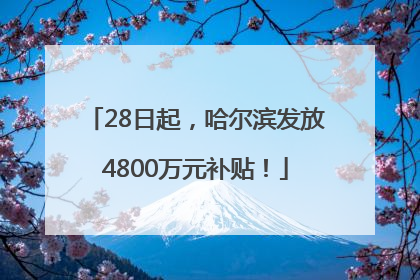 28日起，哈尔滨发放4800万元补贴！