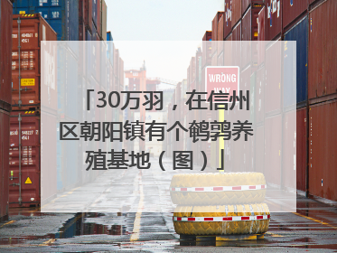 30万羽，在信州区朝阳镇有个鹌鹑养殖基地（图）