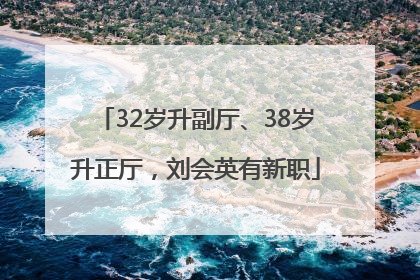 32岁升副厅、38岁升正厅，刘会英有新职