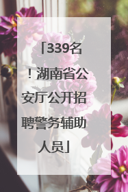 339名！湖南省公安厅公开招聘警务辅助人员