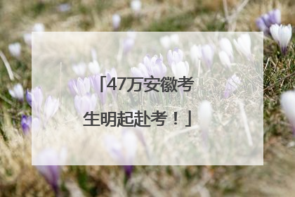 47万安徽考生明起赴考！