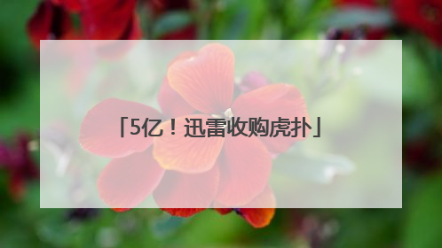 5亿！迅雷收购虎扑