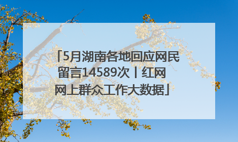 5月湖南各地回应网民留言14589次丨红网网上群众工作大数据