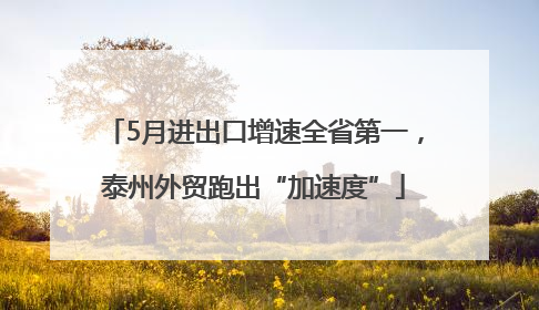 5月进出口增速全省第一，泰州外贸跑出“加速度”