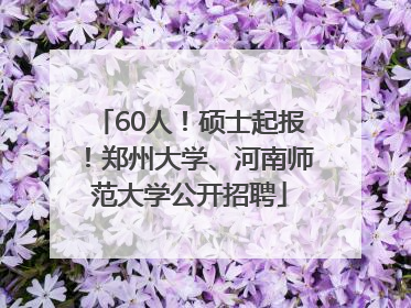 60人！硕士起报！郑州大学、河南师范大学公开招聘