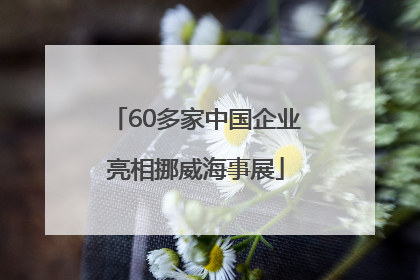 60多家中国企业亮相挪威海事展
