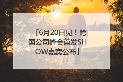 6月20日见！跨国公司峰会首发SHOW嘉宾公布