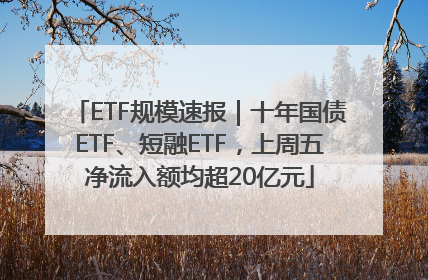 ETF规模速报｜十年国债ETF、短融ETF，上周五净流入额均超20亿元