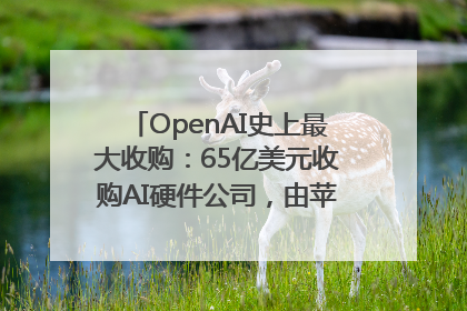 OpenAI史上最大收购：65亿美元收购AI硬件公司，由苹果前设计总监创办