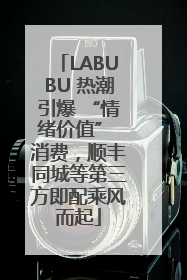 LABUBU 热潮引爆 “情绪价值” 消费，顺丰同城等第三方即配乘风而起