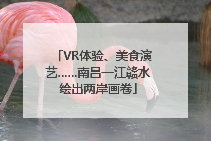 VR体验、美食演艺……南昌一江赣水绘出两岸画卷